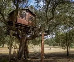 Уникальное жильё — домик на дереве