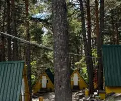 ГАУ Дол Колосок