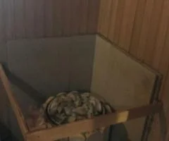 Белые Столбы в Домодедово
